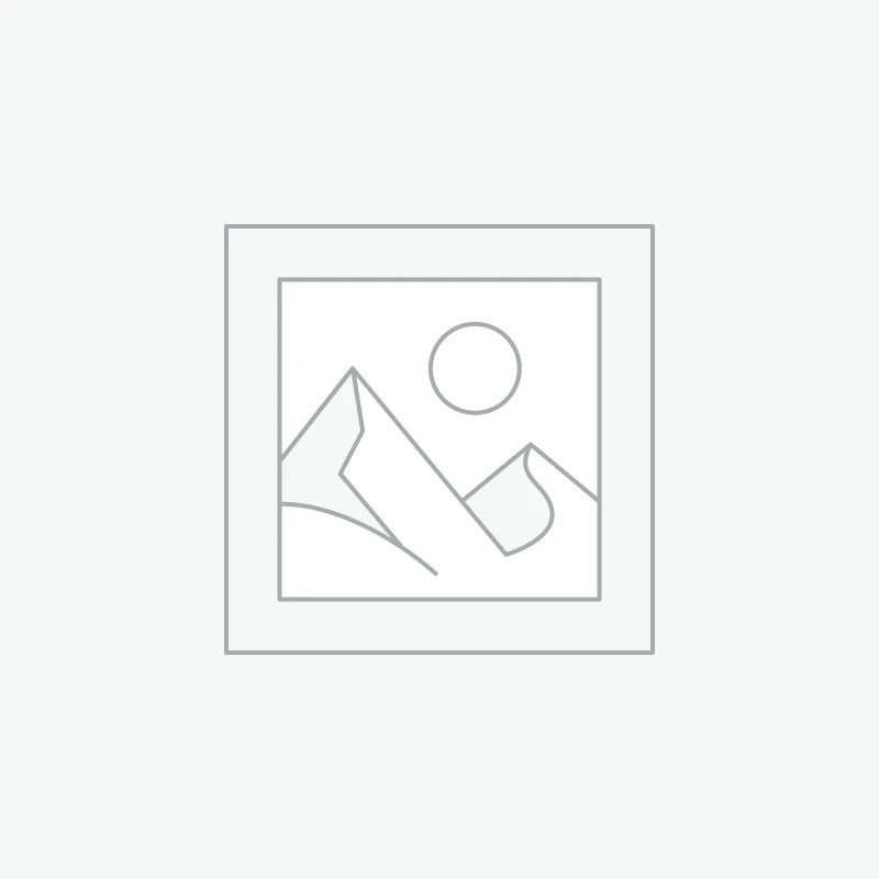 Organiseurs