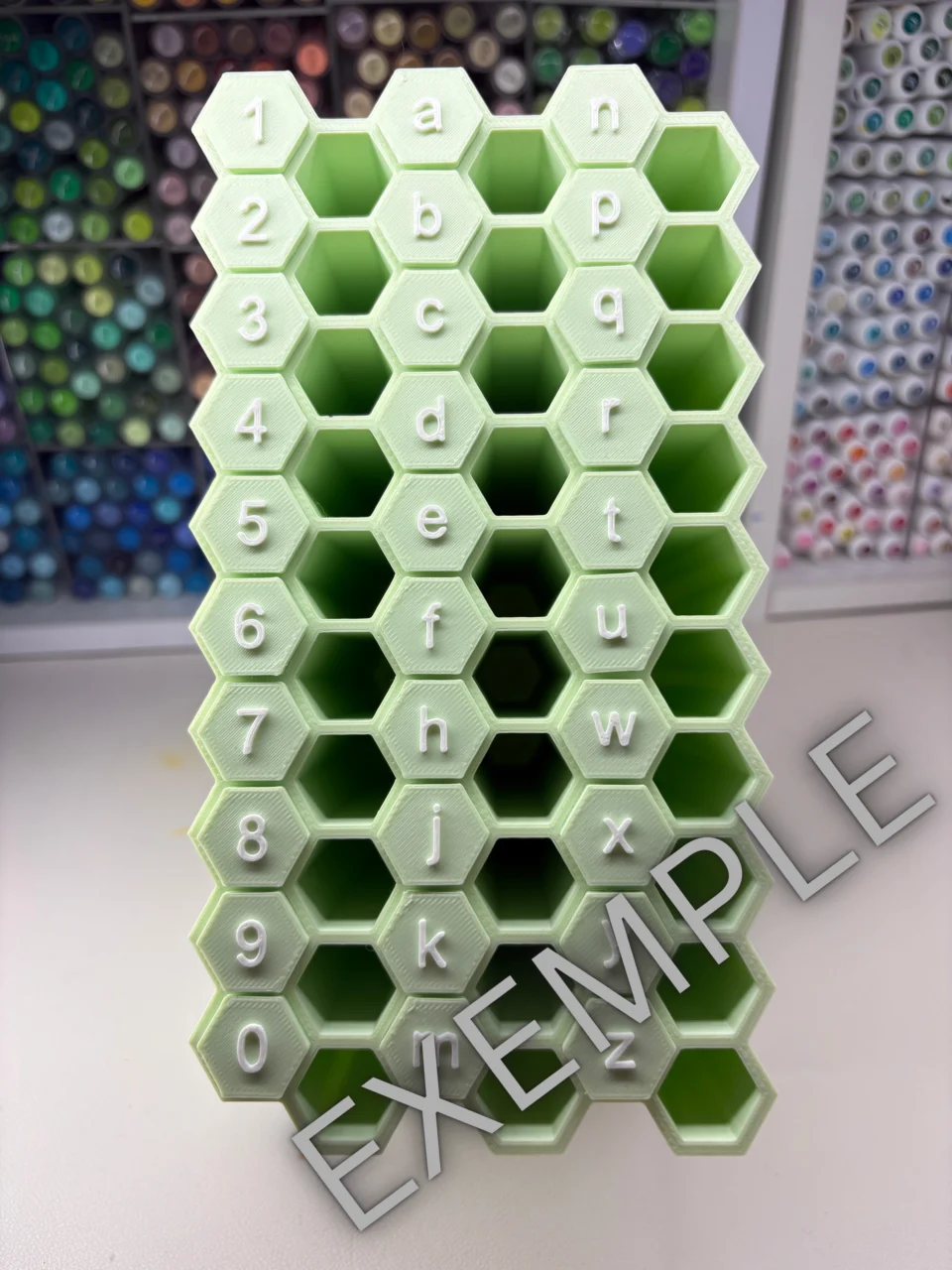 Organiseur 60 Alvéoles (avec capsules)